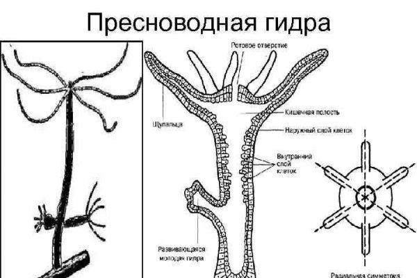 Омг телеграм