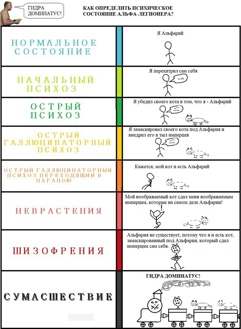 Омг зеркала тор