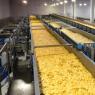 Производство чипсов: прибыльный бизнес в пищевой отрасли
